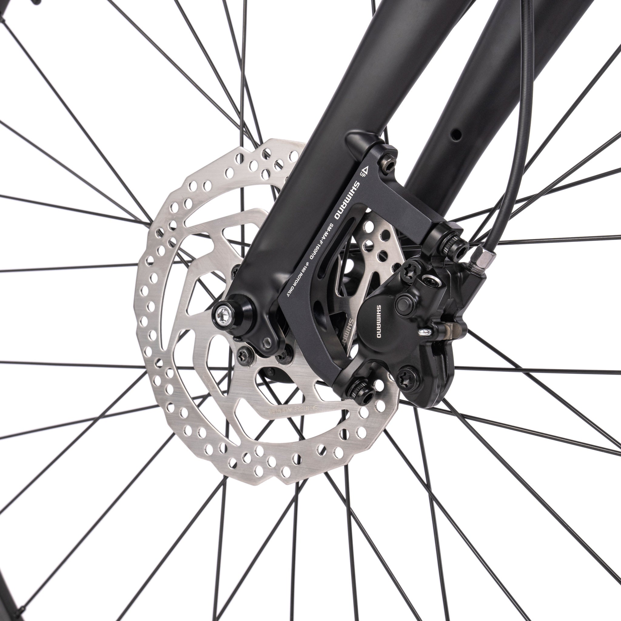 bombtrack-outlaw-singlespeed-urbanbike-gates-riemen-650x47-stahl-frontrack image 6