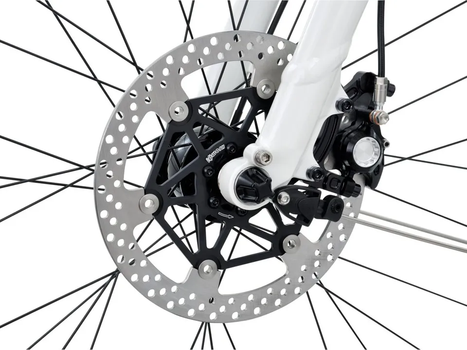idworx-big-disc-brakes-travel-scheibenbremse-203-mm image 1